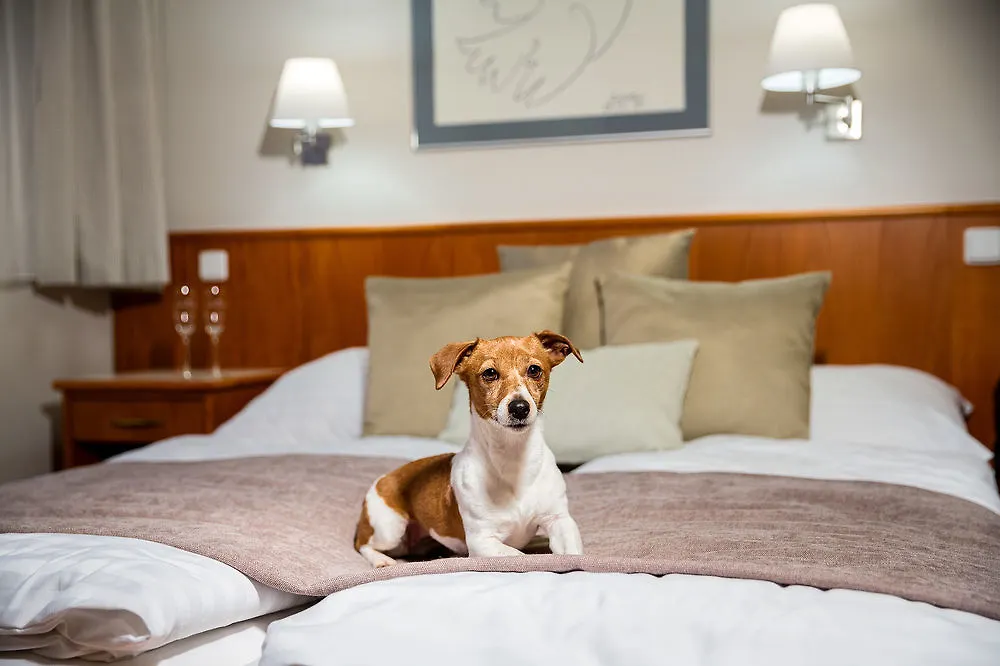 Hotel Snezka Špindlerŭv Mlýn